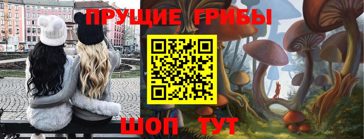 Псилоцибиновые грибы мицелий  Вход с VPN  Джанкой 
